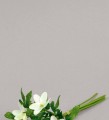 Цветок белый анемон 12 см