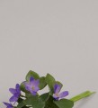 Цветок голубой анемон 12 см