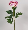 Пион розово-кремовый 69 см