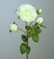 Роза кремовая с бутонами  52см