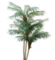 Финиковая пальма 230 см