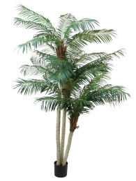 Финиковая пальма 230 см