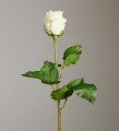 Роза кремовая 50см