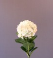 Гидрангея розово-салатная  53 см
