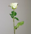 Роза кремовая 52см