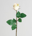 Роза кремовая  47см