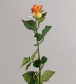 Роза 62 см