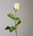 Роза розово-кремовая  50см