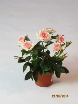 Роза в кашпо кремово-розовая 16 см
