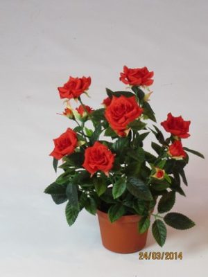 Роза в кашпо красная 22 см